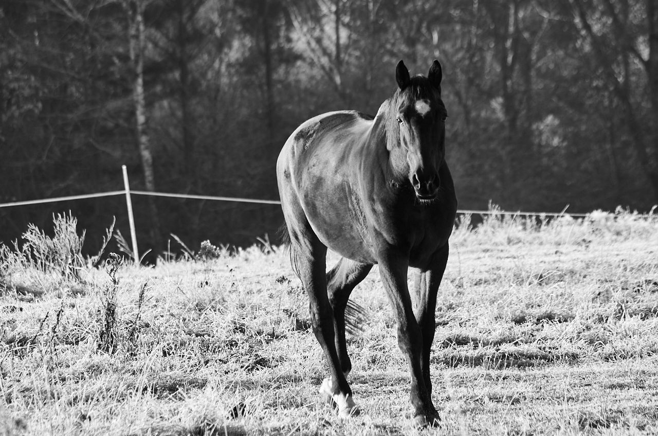 fotofun-IMGP0619.jpg