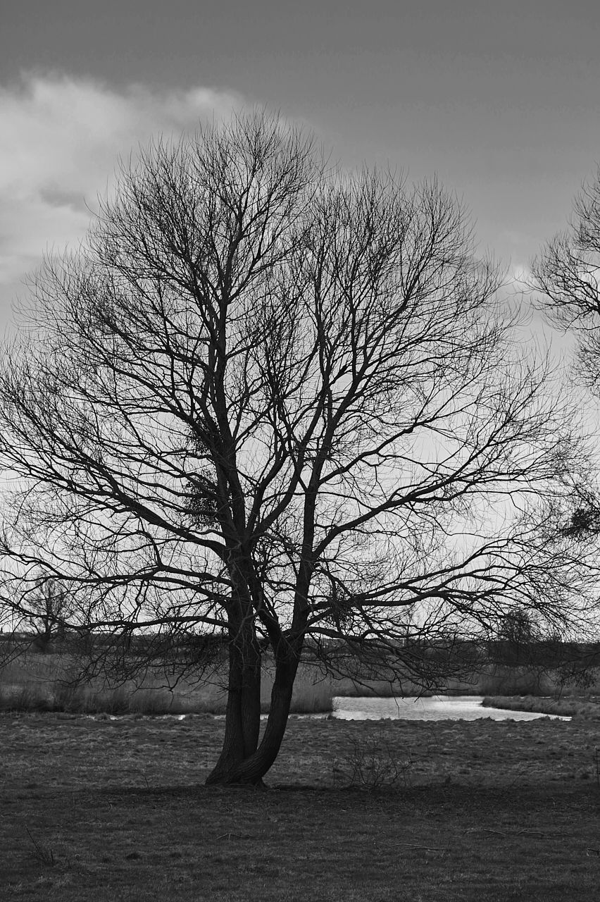 fotofun-DSC_0018.jpg