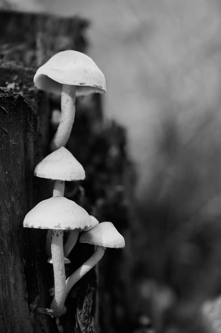 fotofun-RSP_8145.jpg