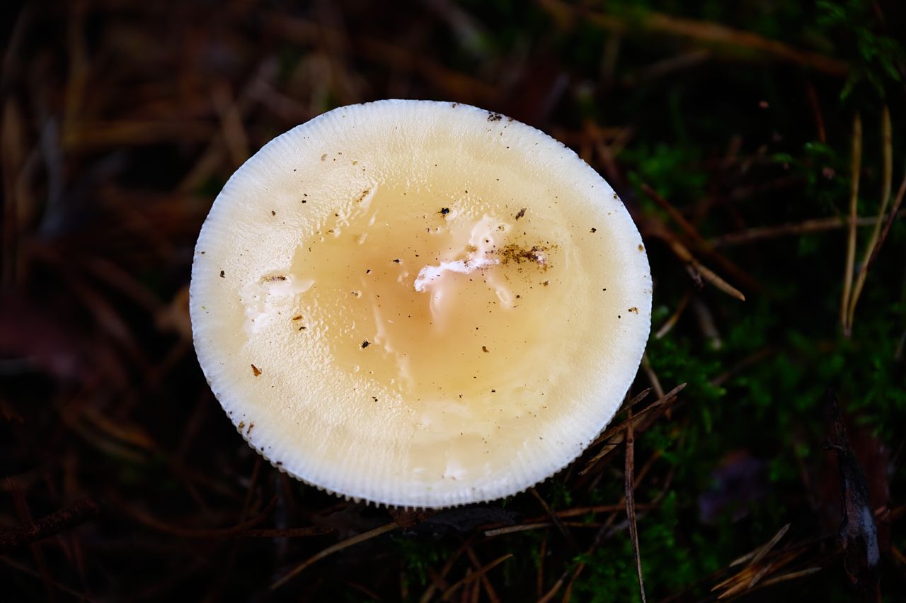 fotofun-RSP_7088.jpg