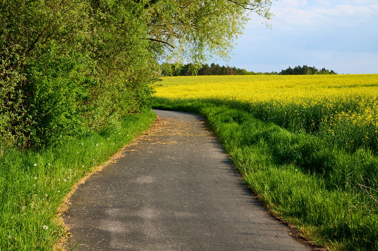 fotofun-RSP_0456-23-05-11.jpg