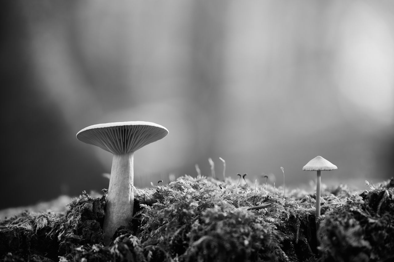 fotofun-RSP_8690.jpg