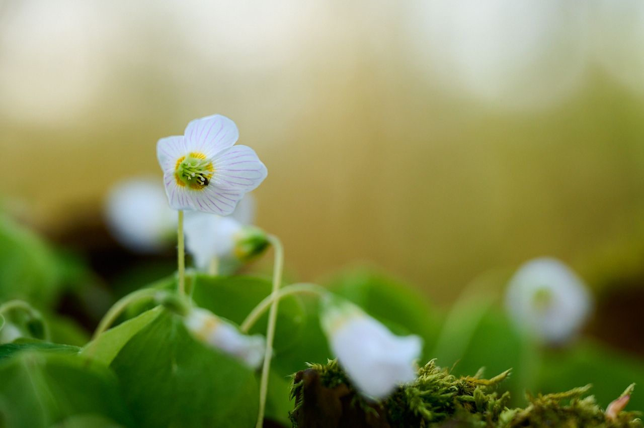 fotofun-RSP_0091-23-04-27.jpg