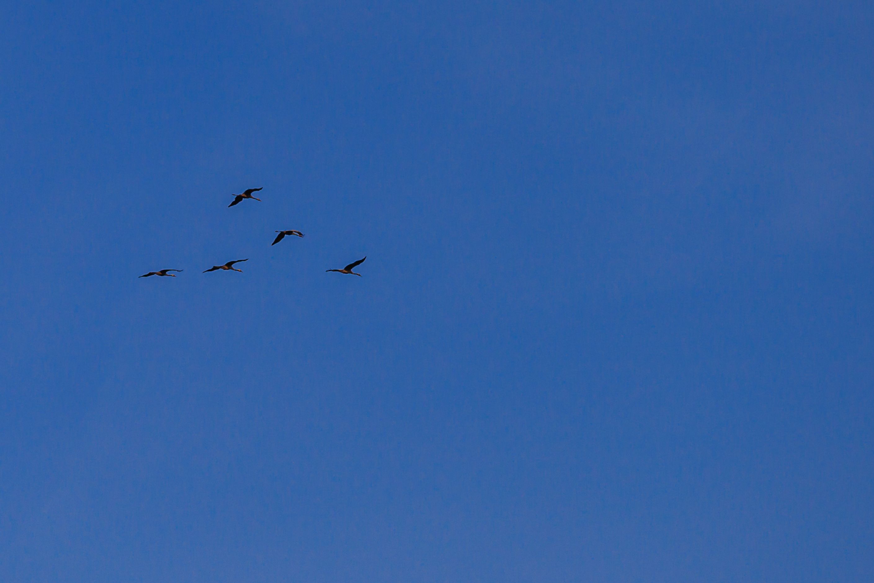 20250208-_MG_6704.jpg