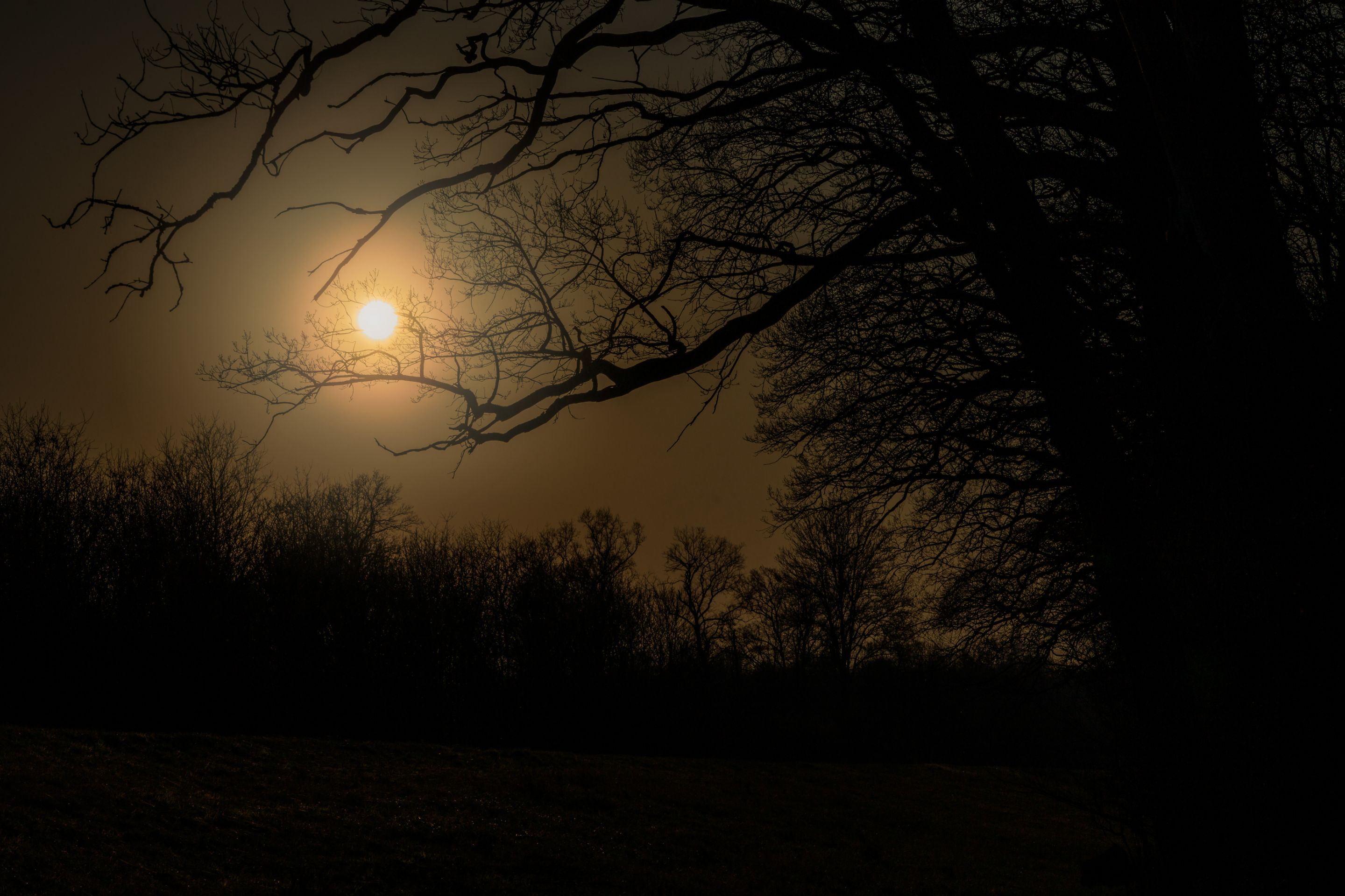 20250309-_MG_7248.jpg