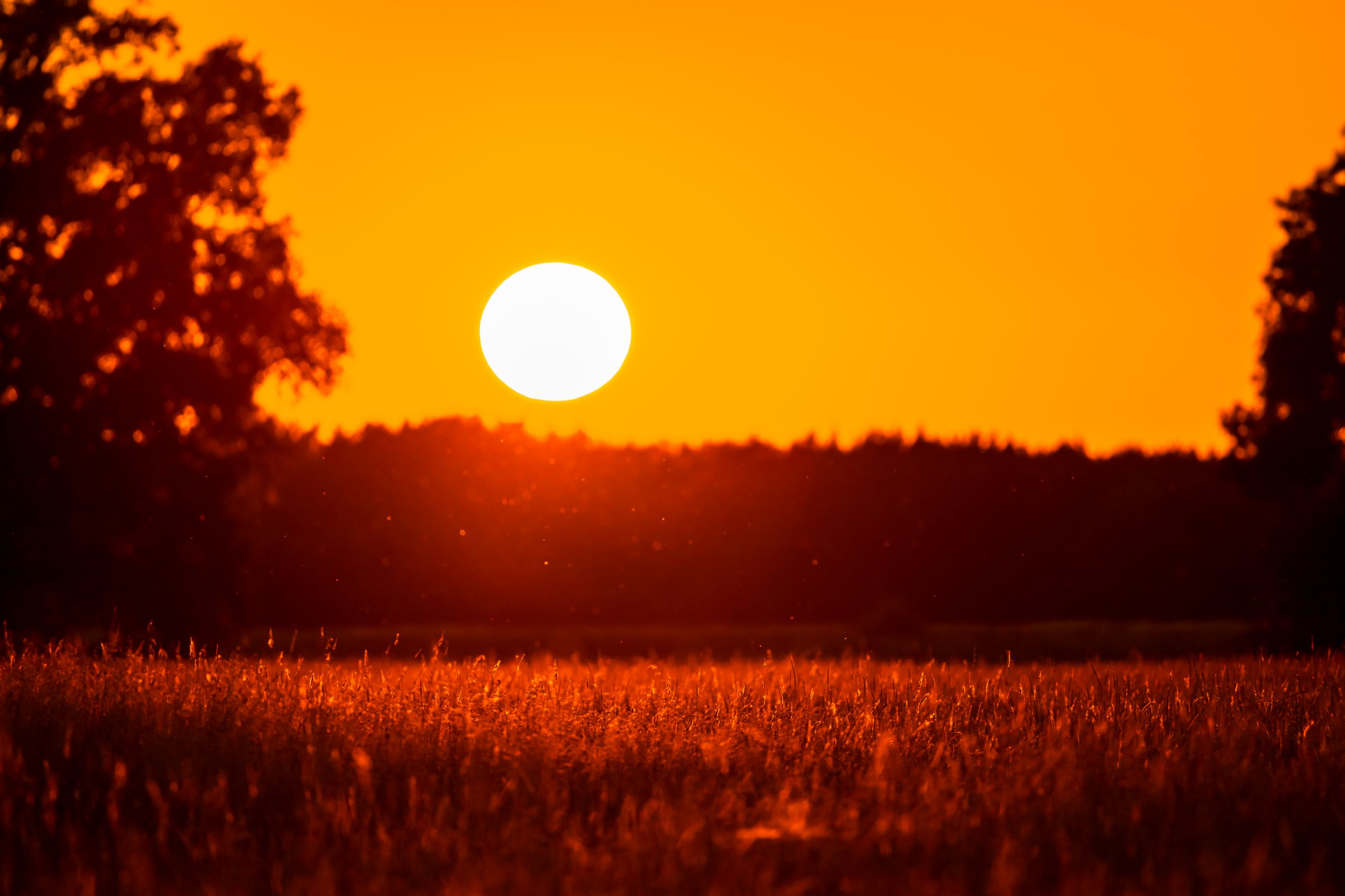 20250620-_MG_0565-HDR.jpg