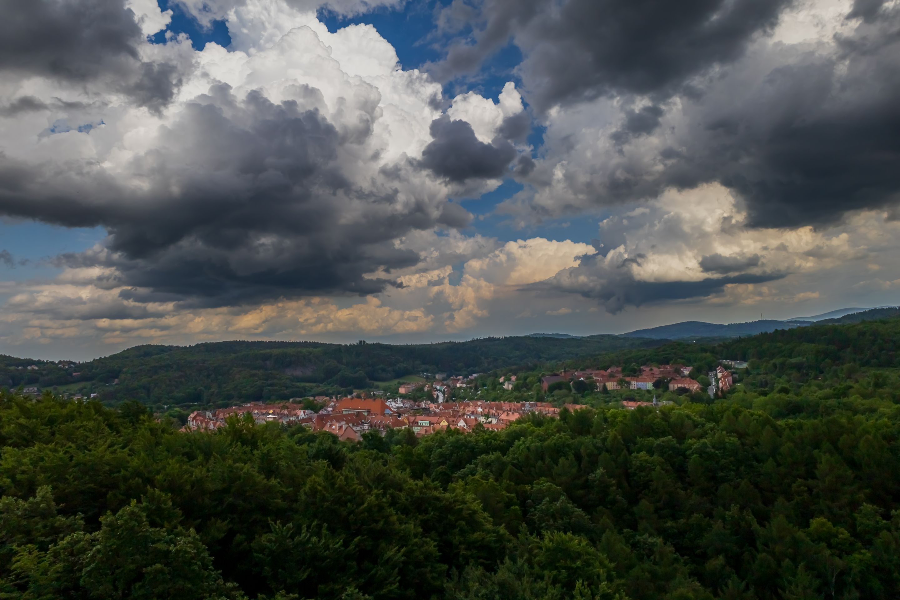 20250531-_MG_0246.jpg
