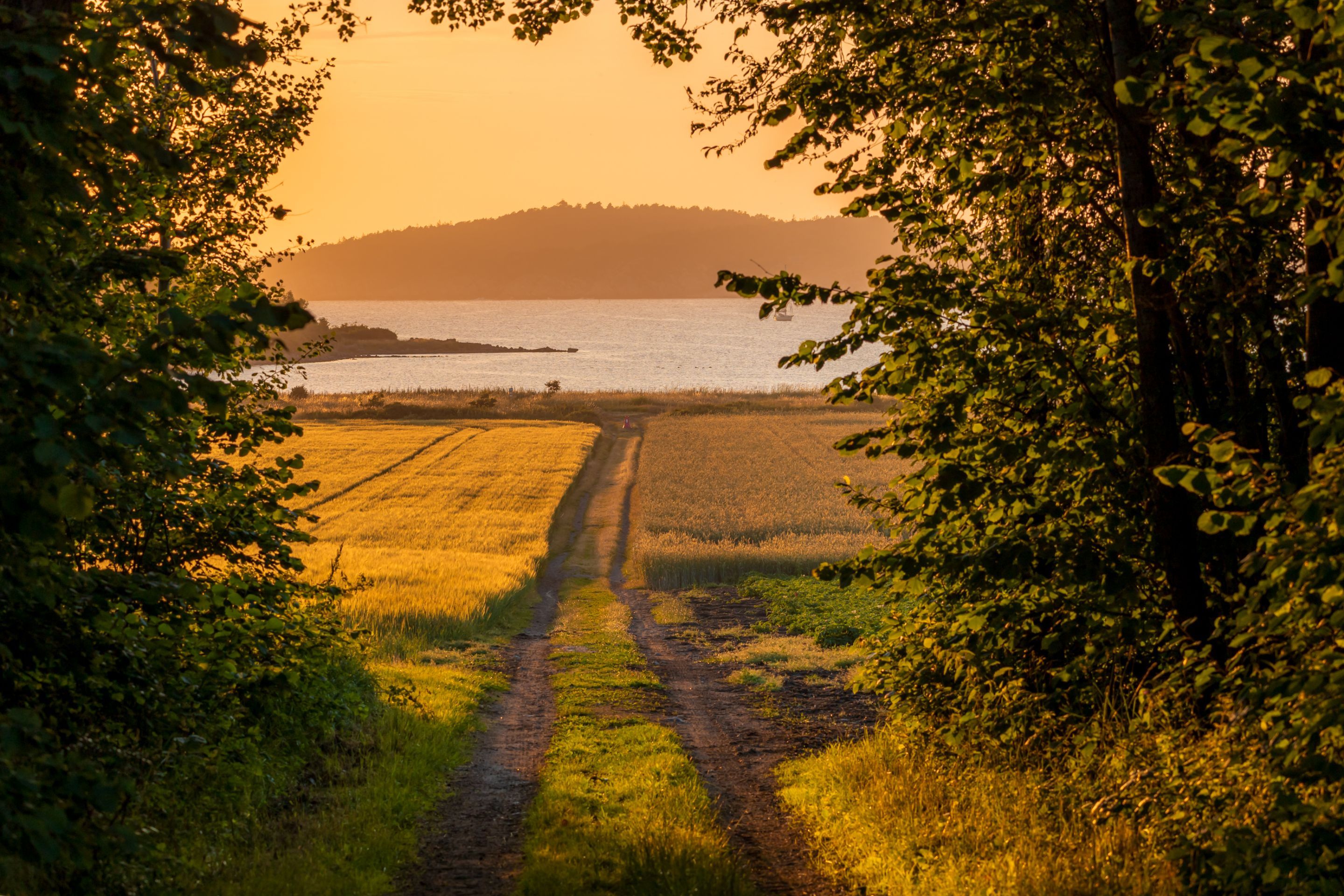 20250630-_MG_1118-HDR.jpg