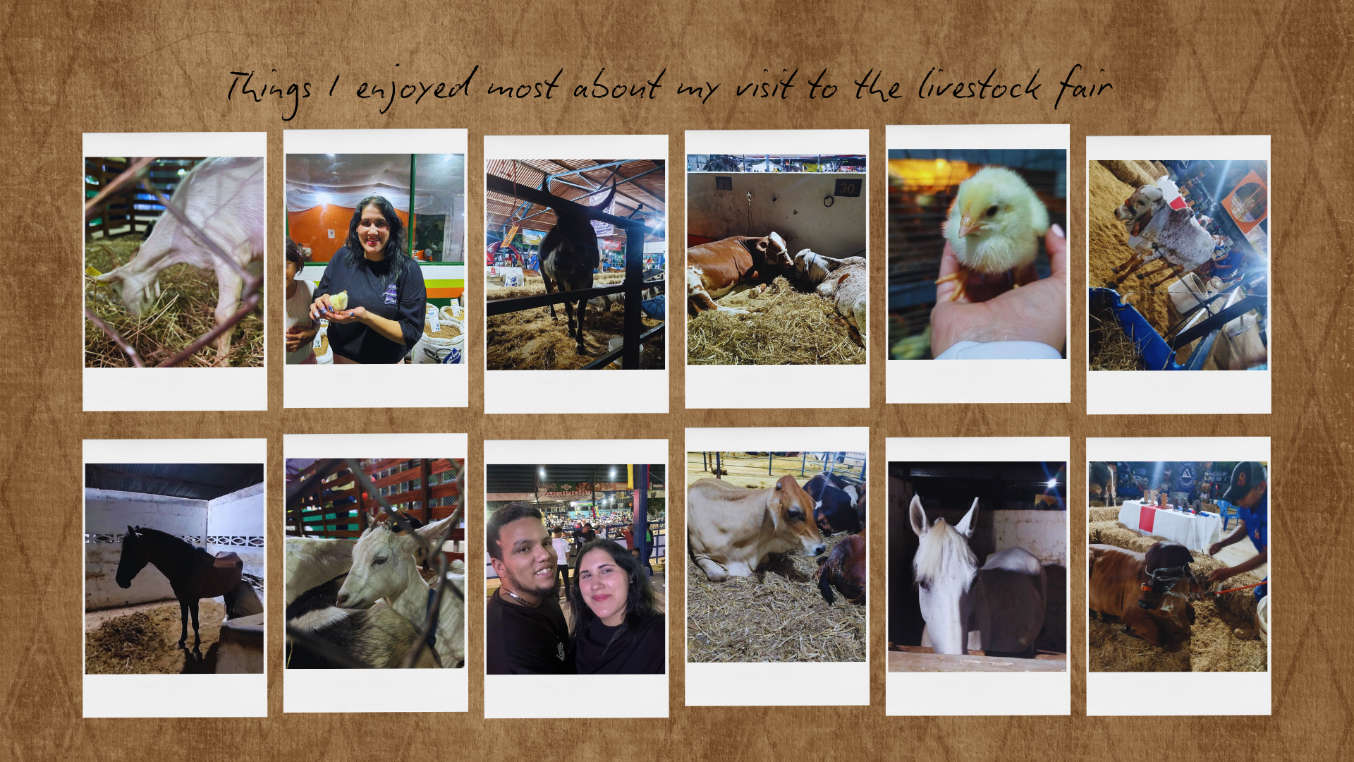 Things I enjoyed most about my visit to the livestock fair [ᴇꜱᴘ-ᴇɴɢ]  Cosas que más disfruté de mi visita a la expo feria ganadera