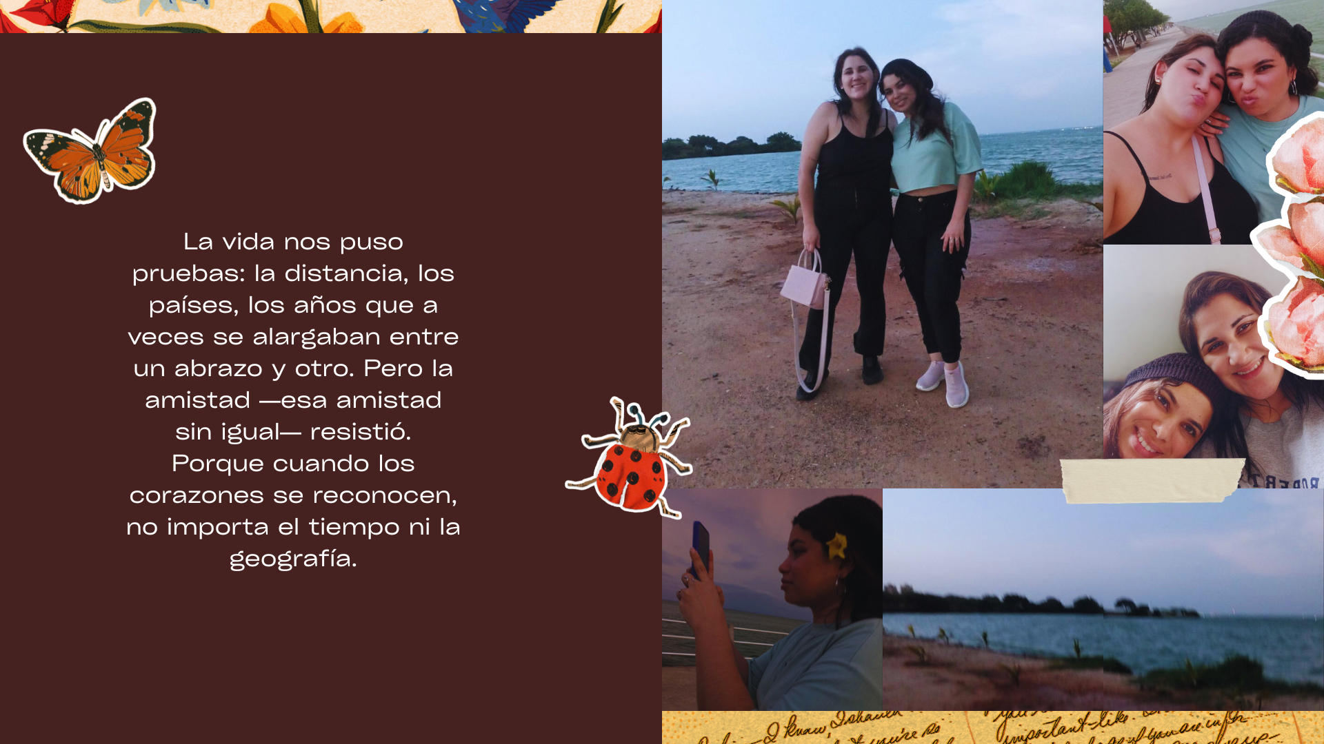 Fondo de Pantalla Tablero de Visión Collage Blancos.png