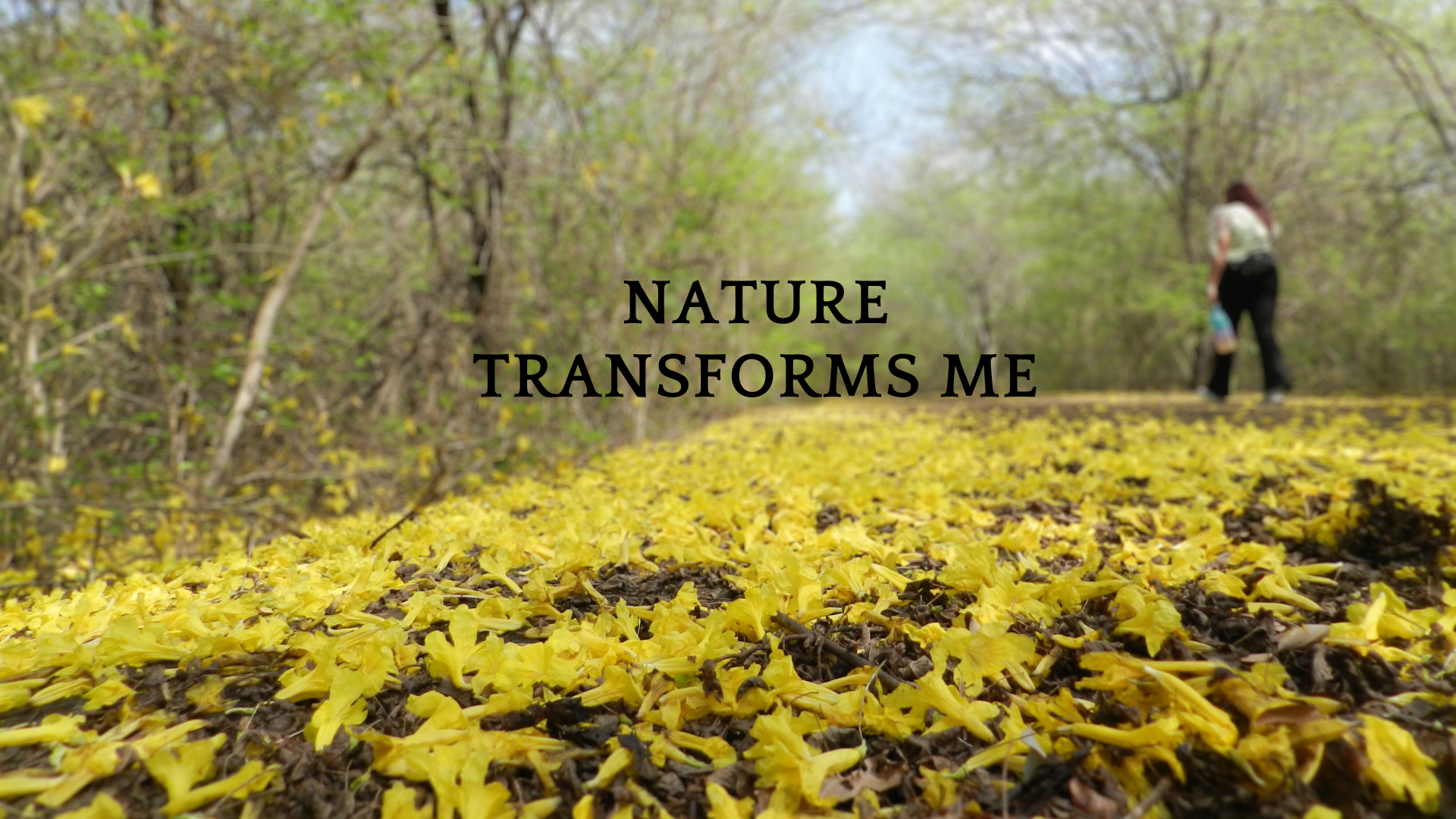 Nature transforms me.png