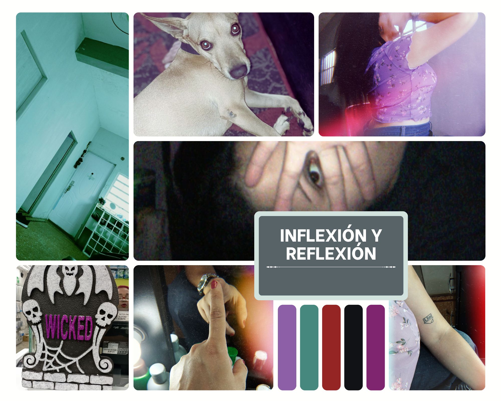 Red Colorful Fruits Mood Boards Photo Collage.png