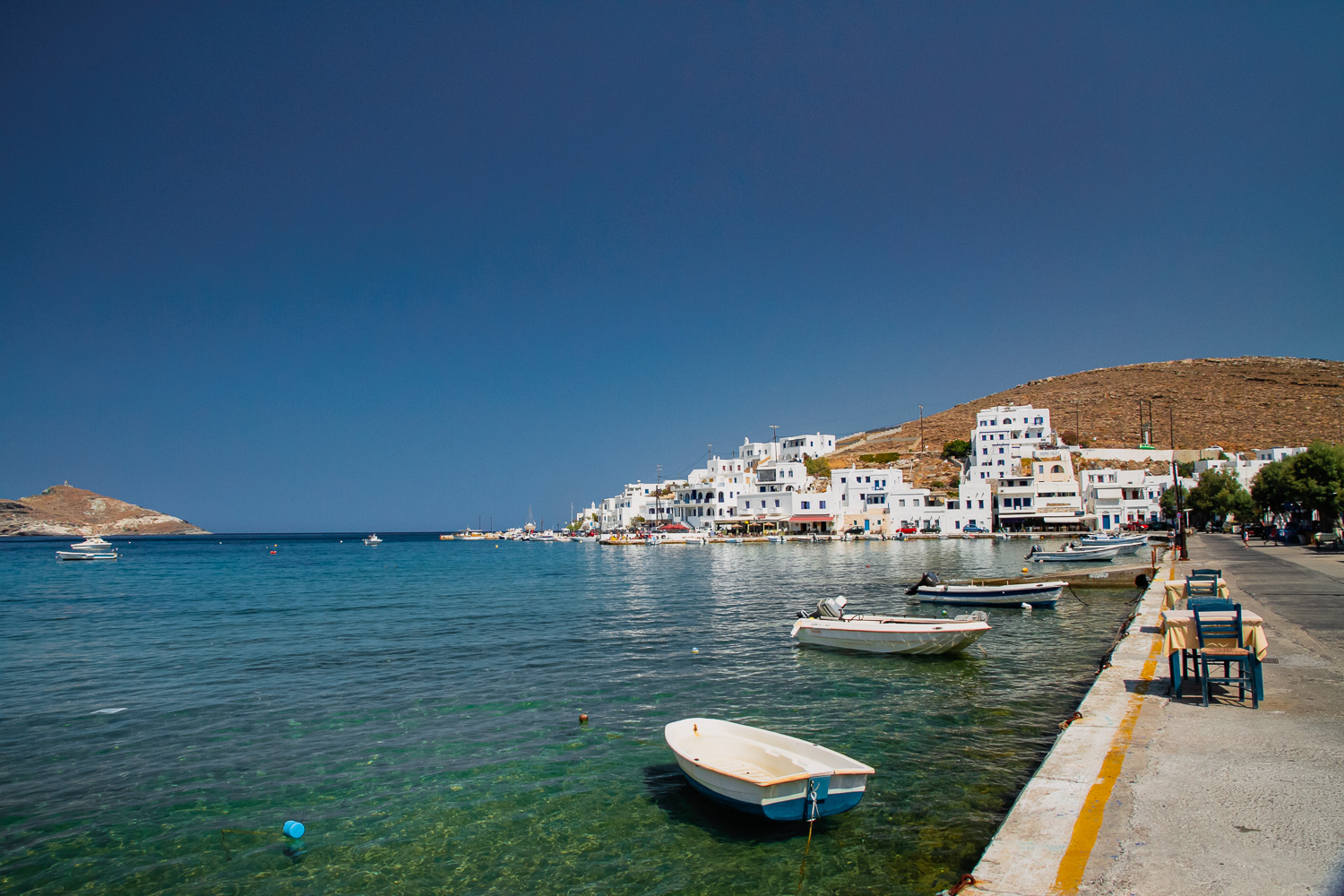 _MG_2542.jpg