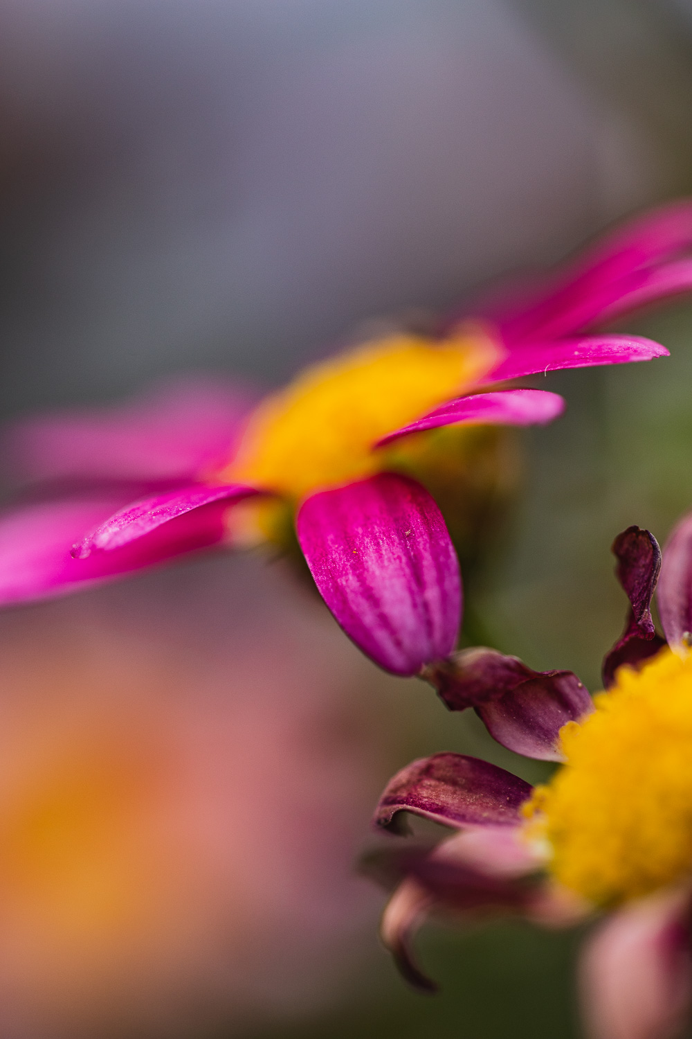 IMG_6887.jpg