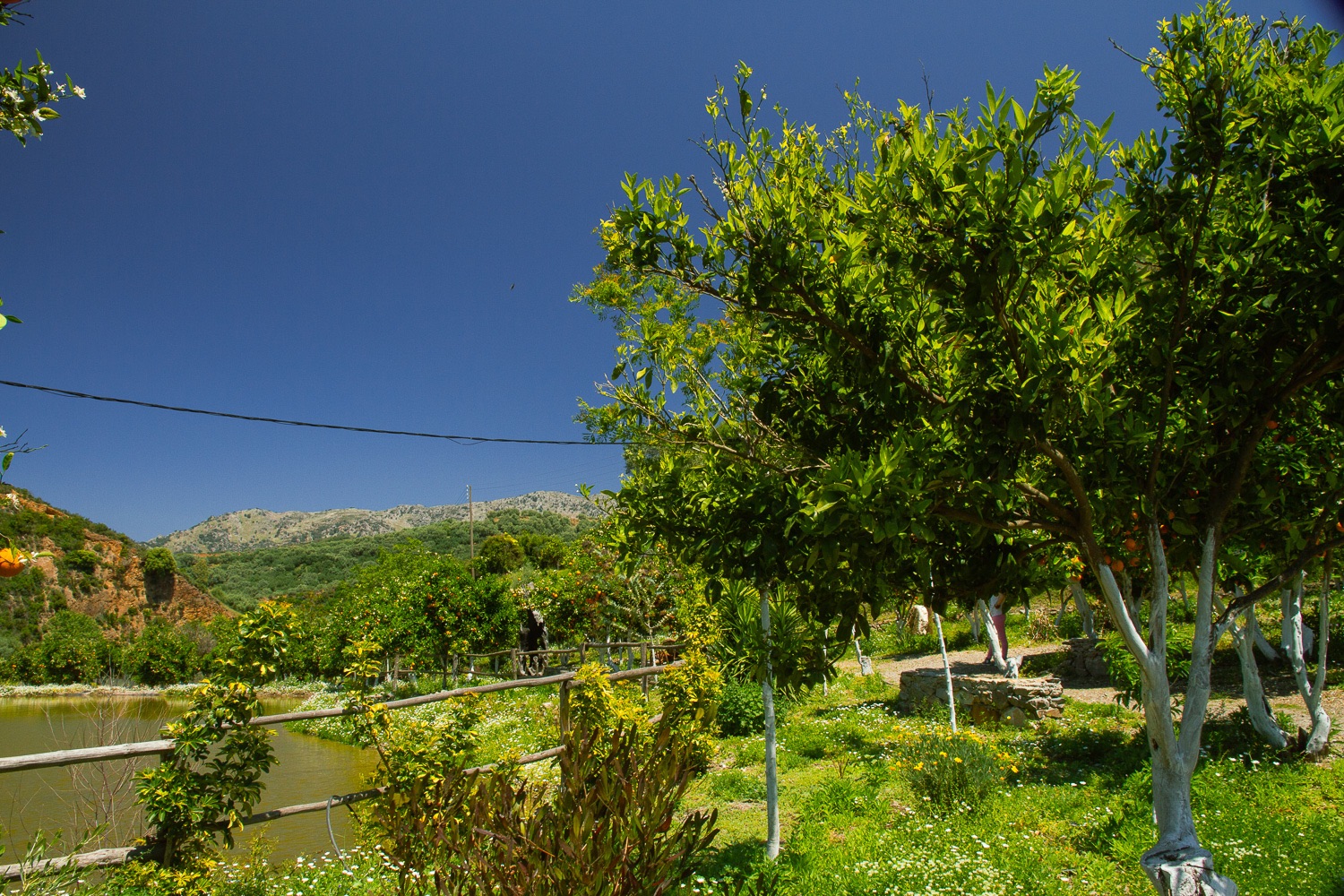 _MG_4929.jpg