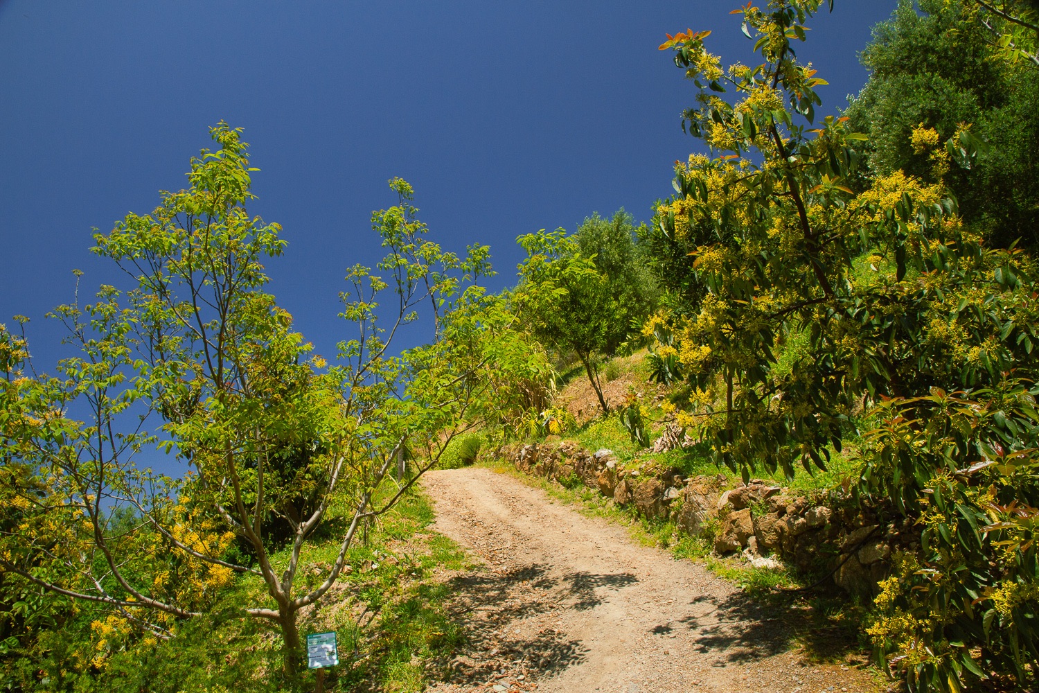 _MG_4913.jpg