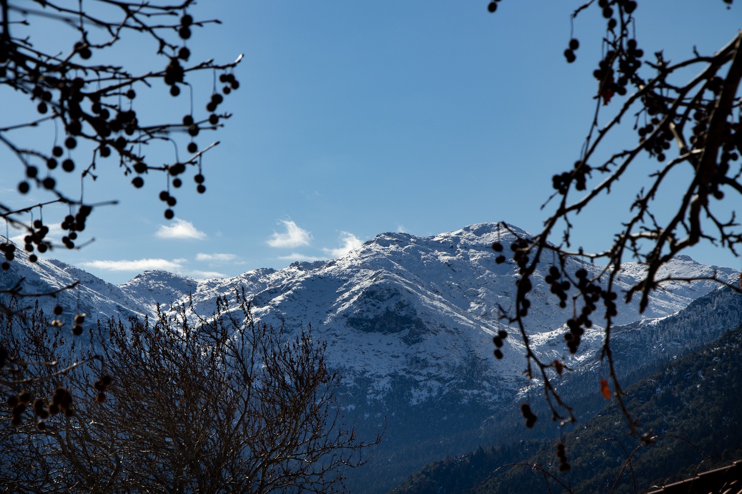 IMG_8620.jpg