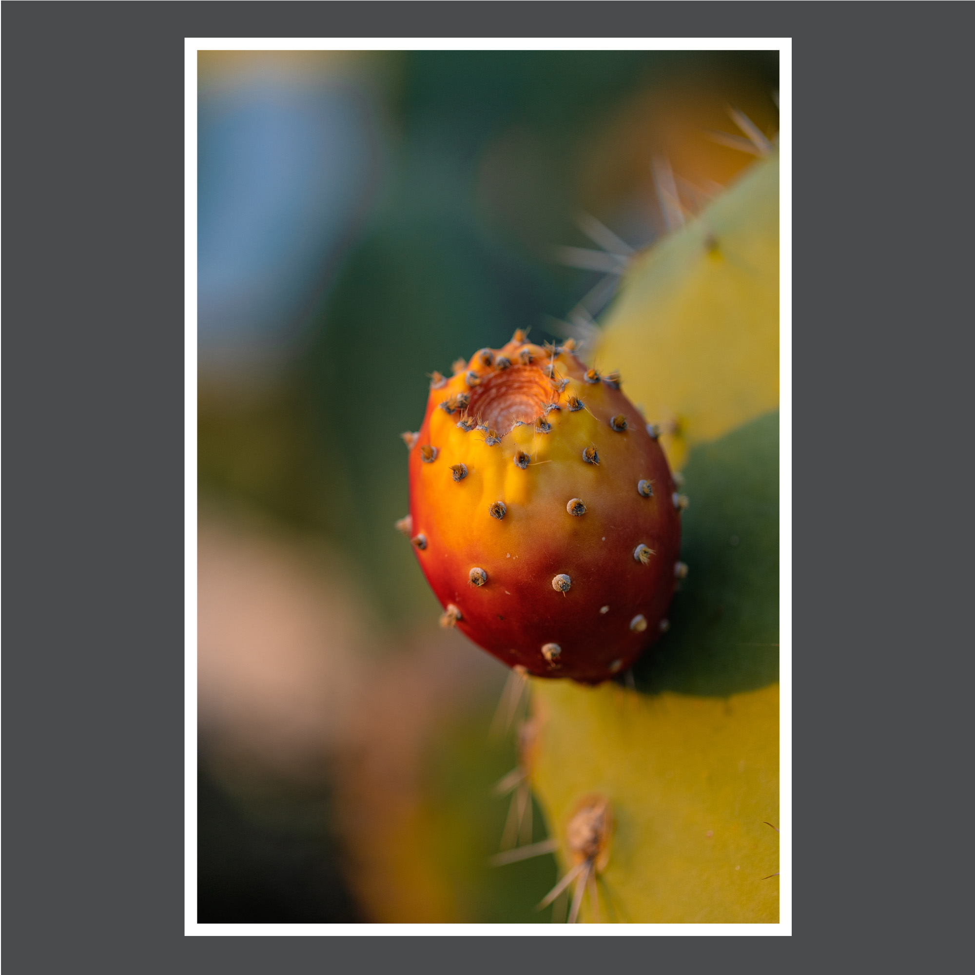 cards-insta-2 copy.jpg