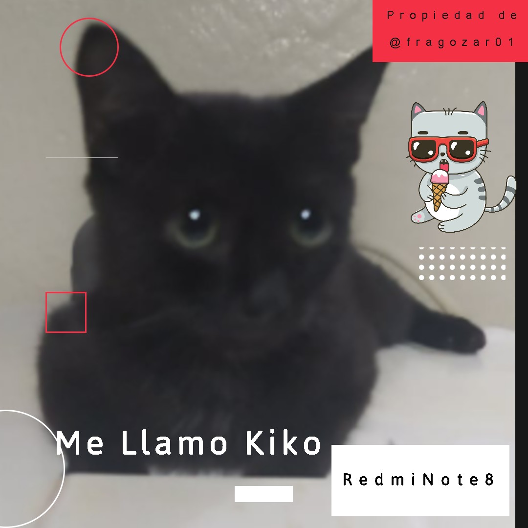 MellamoKiko.jpg
