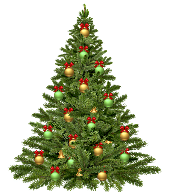 christmas-tree-g5ff32d8b0_640.png