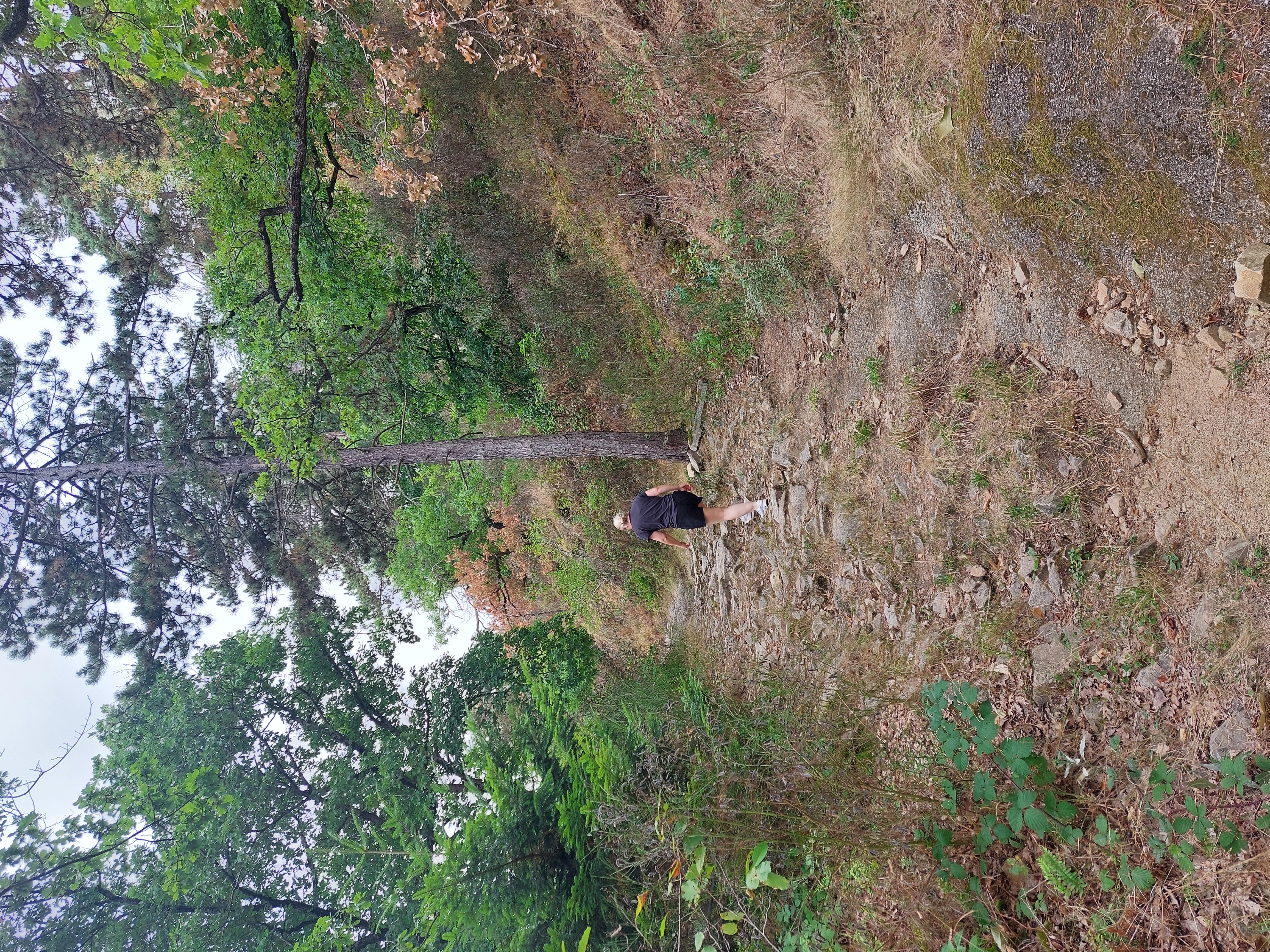 1000064245.jpg