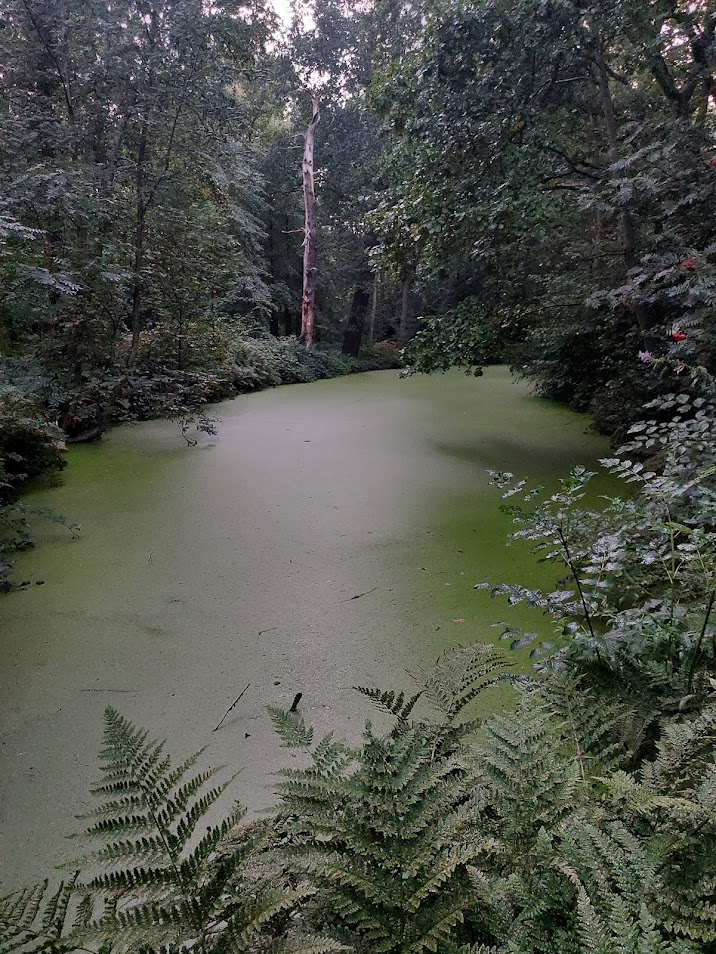 groen.png