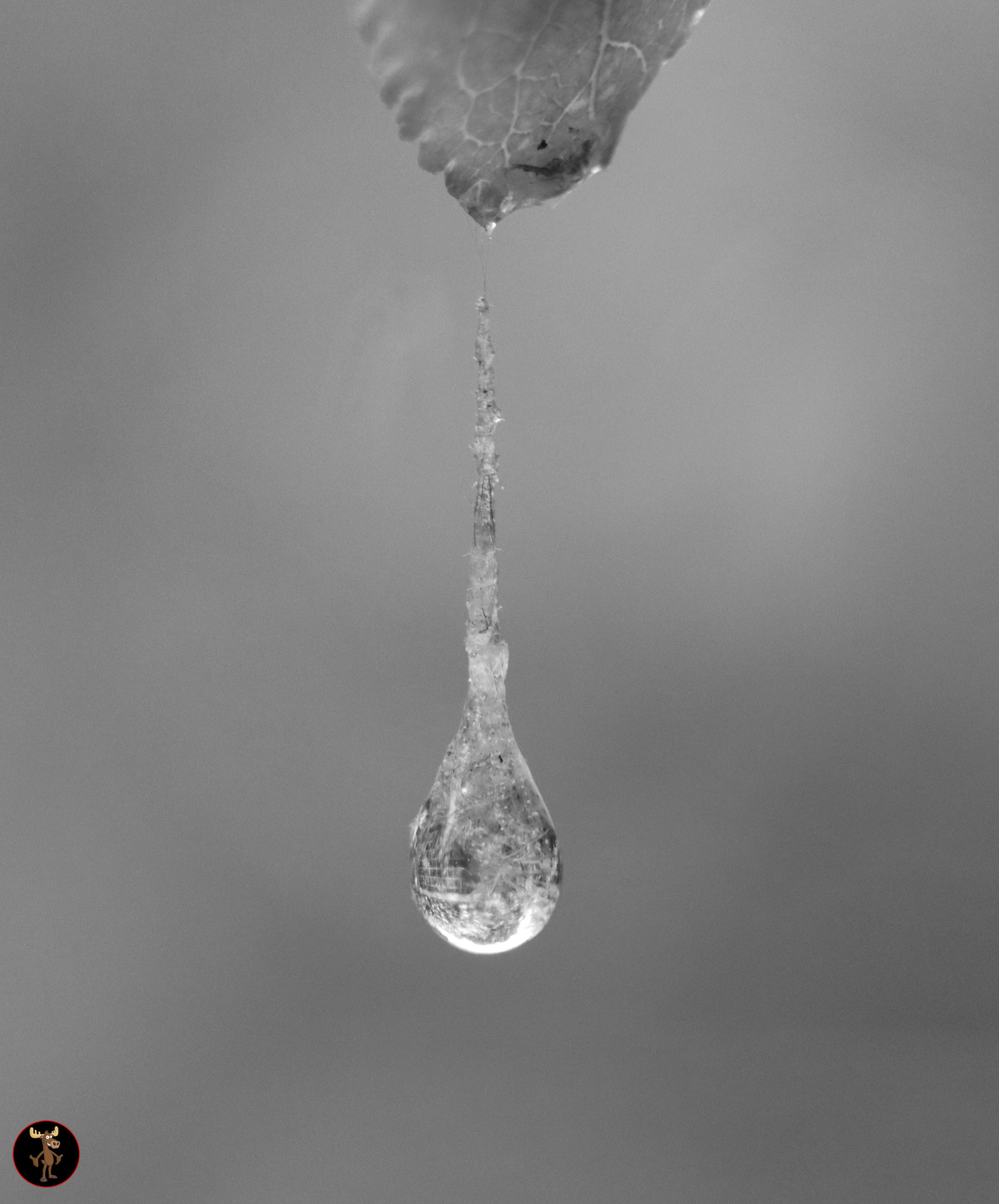 waterdrop.jpg