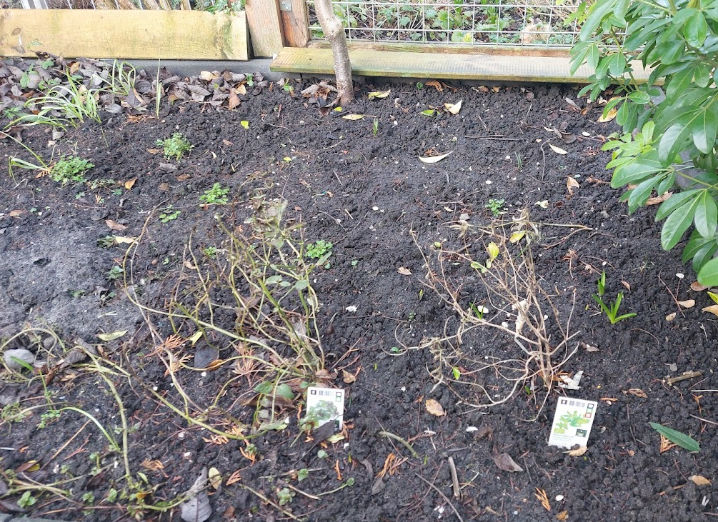tuin.png