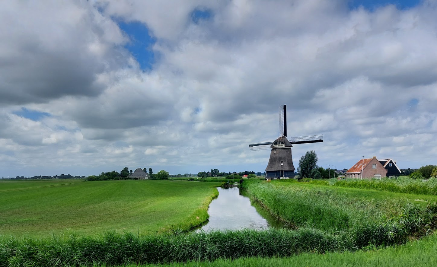 windmill.png
