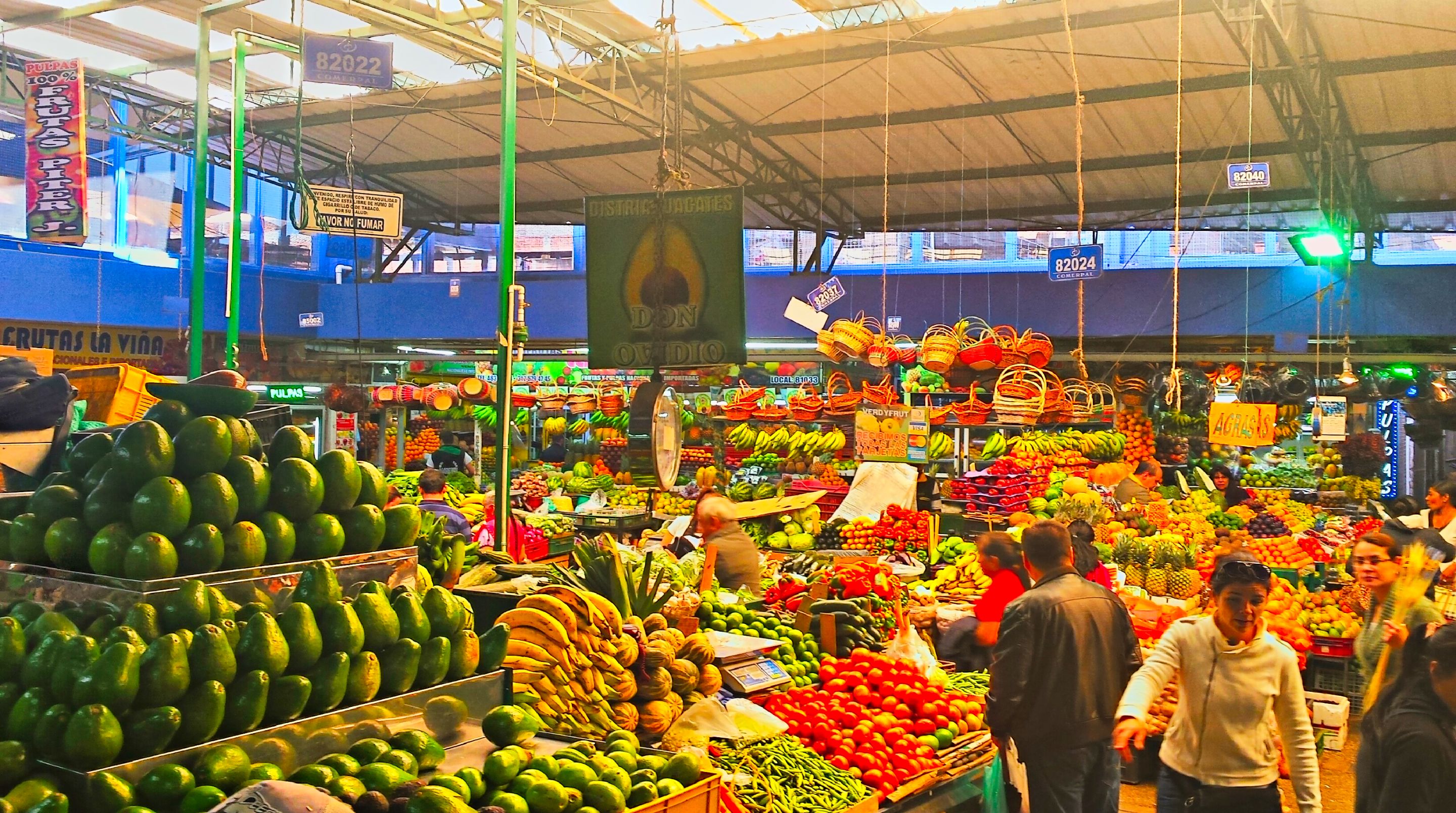 01 - Bogota.jpg