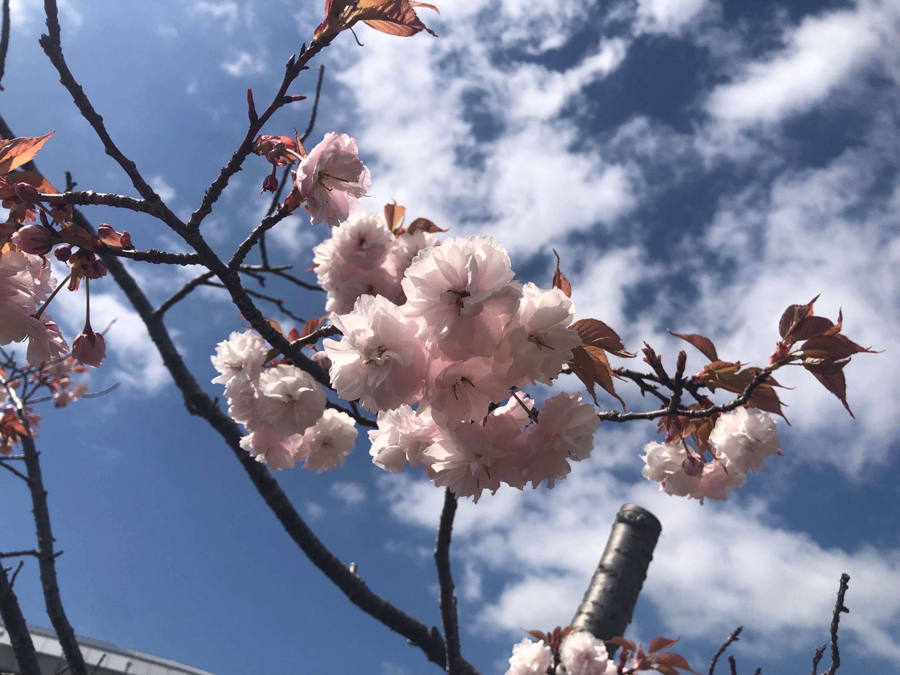 D37E6958-0DA2-4F34-B22F-1474C02532A6.jpeg