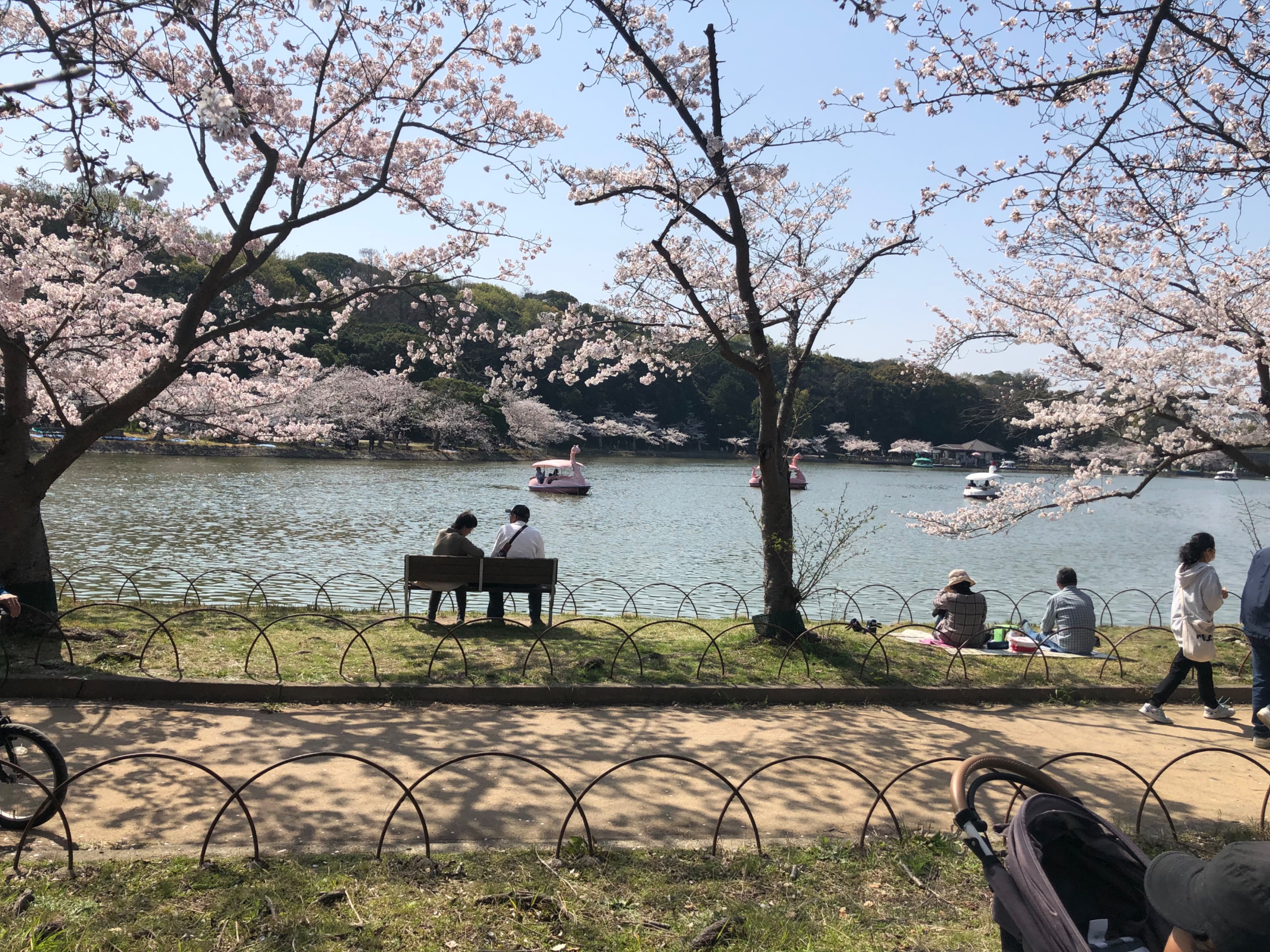 68335341-AF09-42B1-993F-0252EDF2DB7F.jpeg