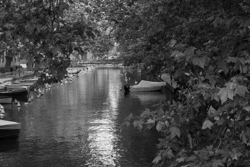 _MG_0638.jpg