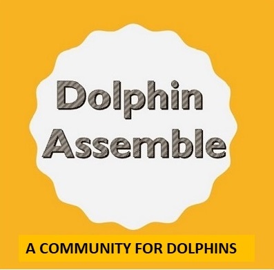 Dolphin Banner.jpg