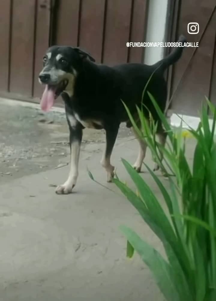 Imagen de WhatsApp 2025-10-31 a las 10.34.32_72fa9571.jpg