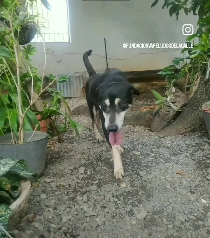 Imagen de WhatsApp 2025-10-31 a las 10.34.31_a6a7051d.jpg