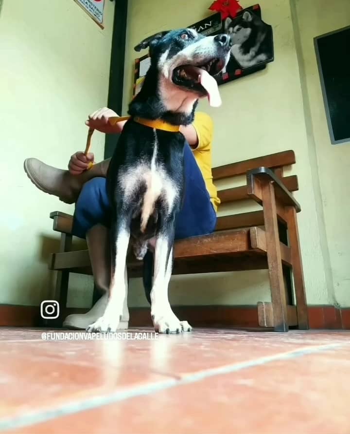 Imagen de WhatsApp 2025-10-31 a las 10.34.32_b11fdf41.jpg