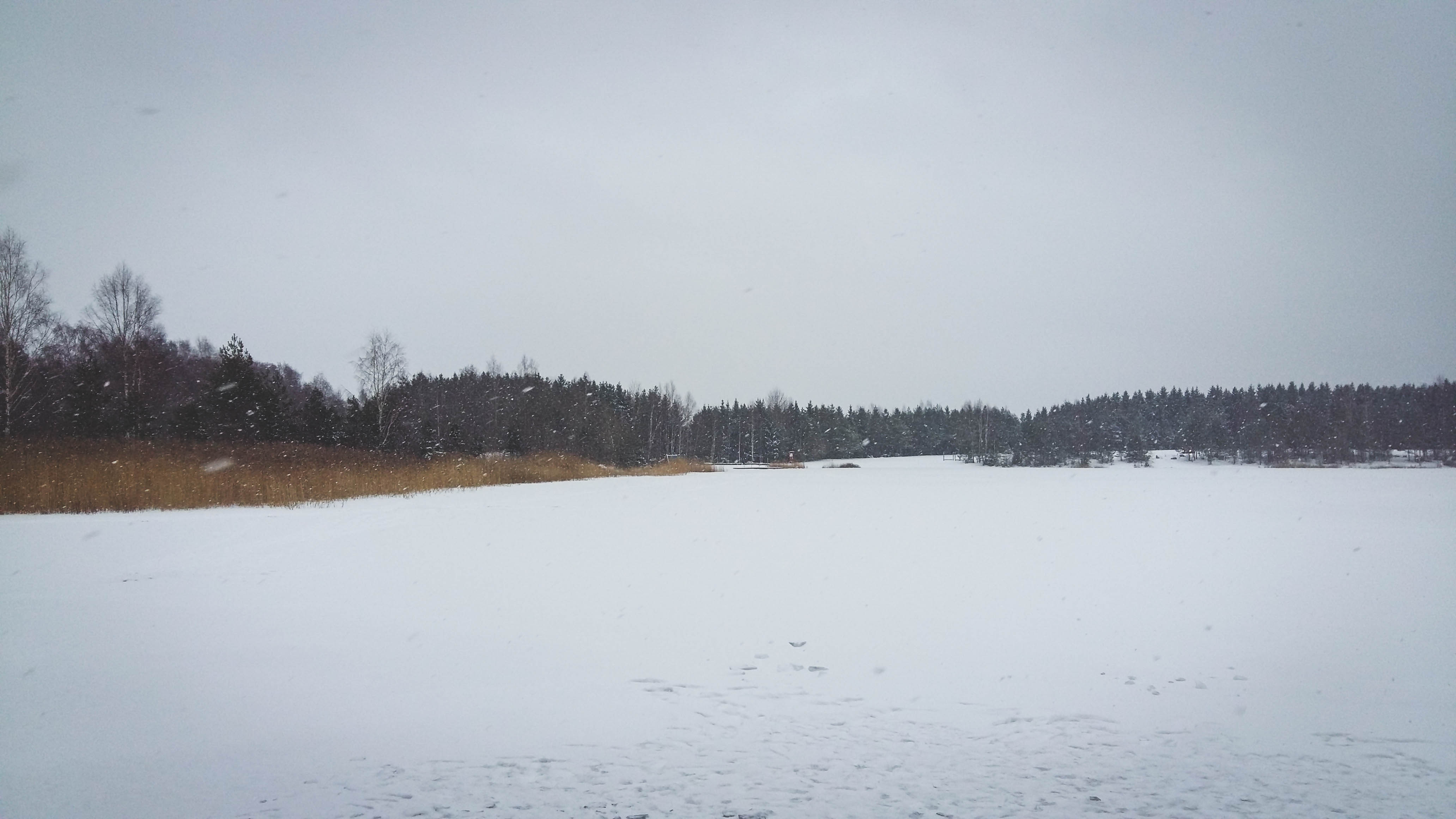 20210110_133506.jpg