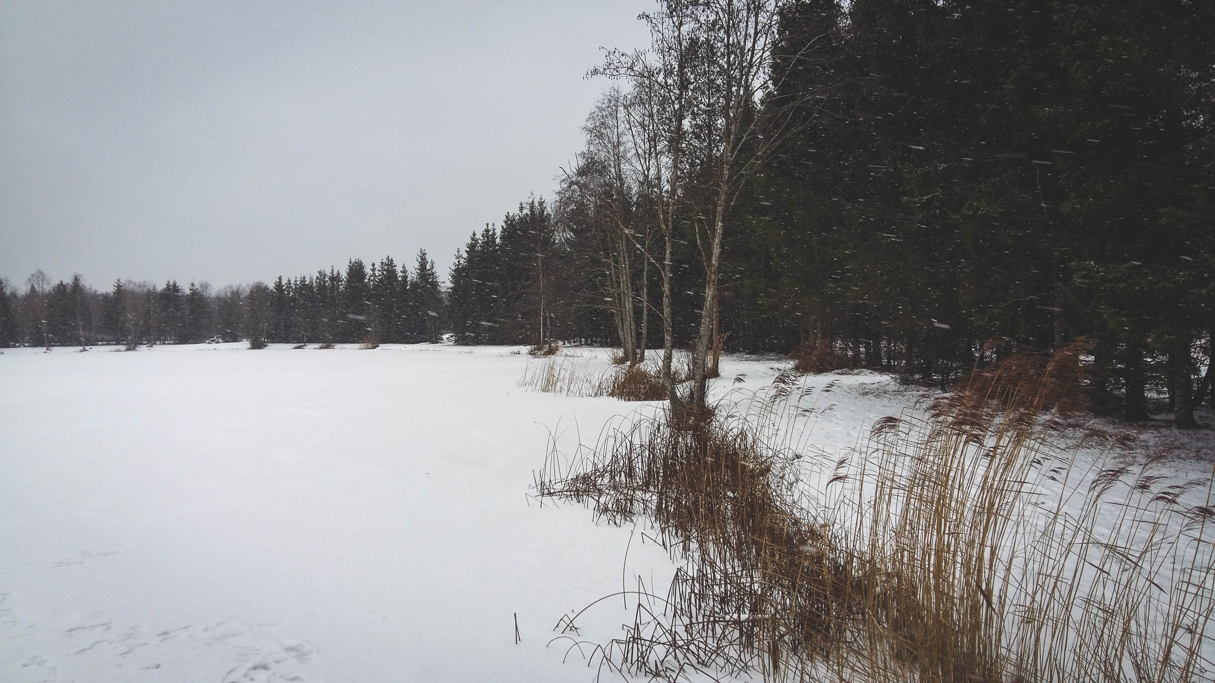 20210110_133459.jpg