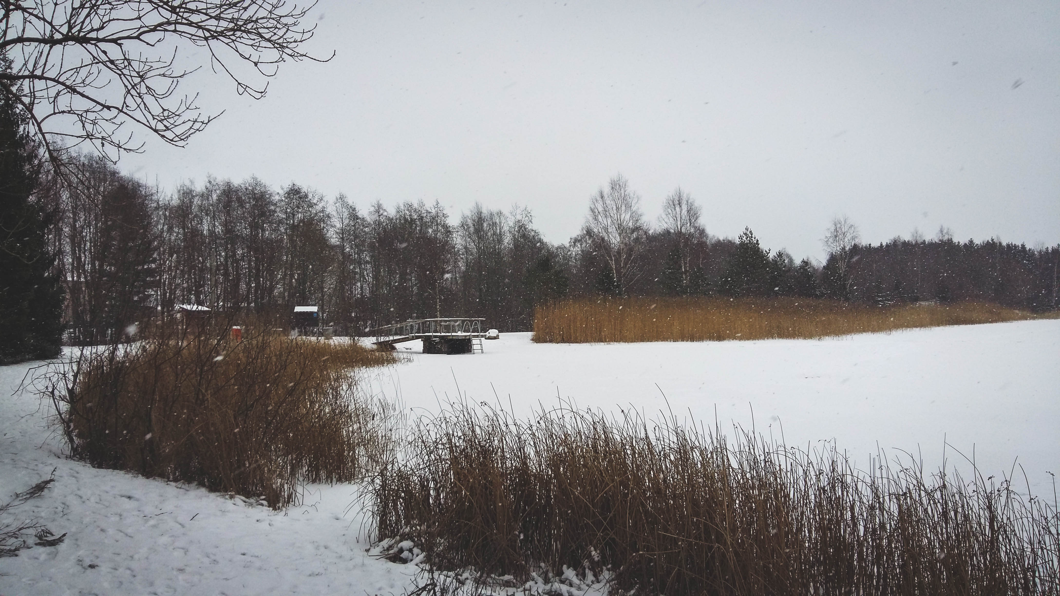 20210110_133434.jpg