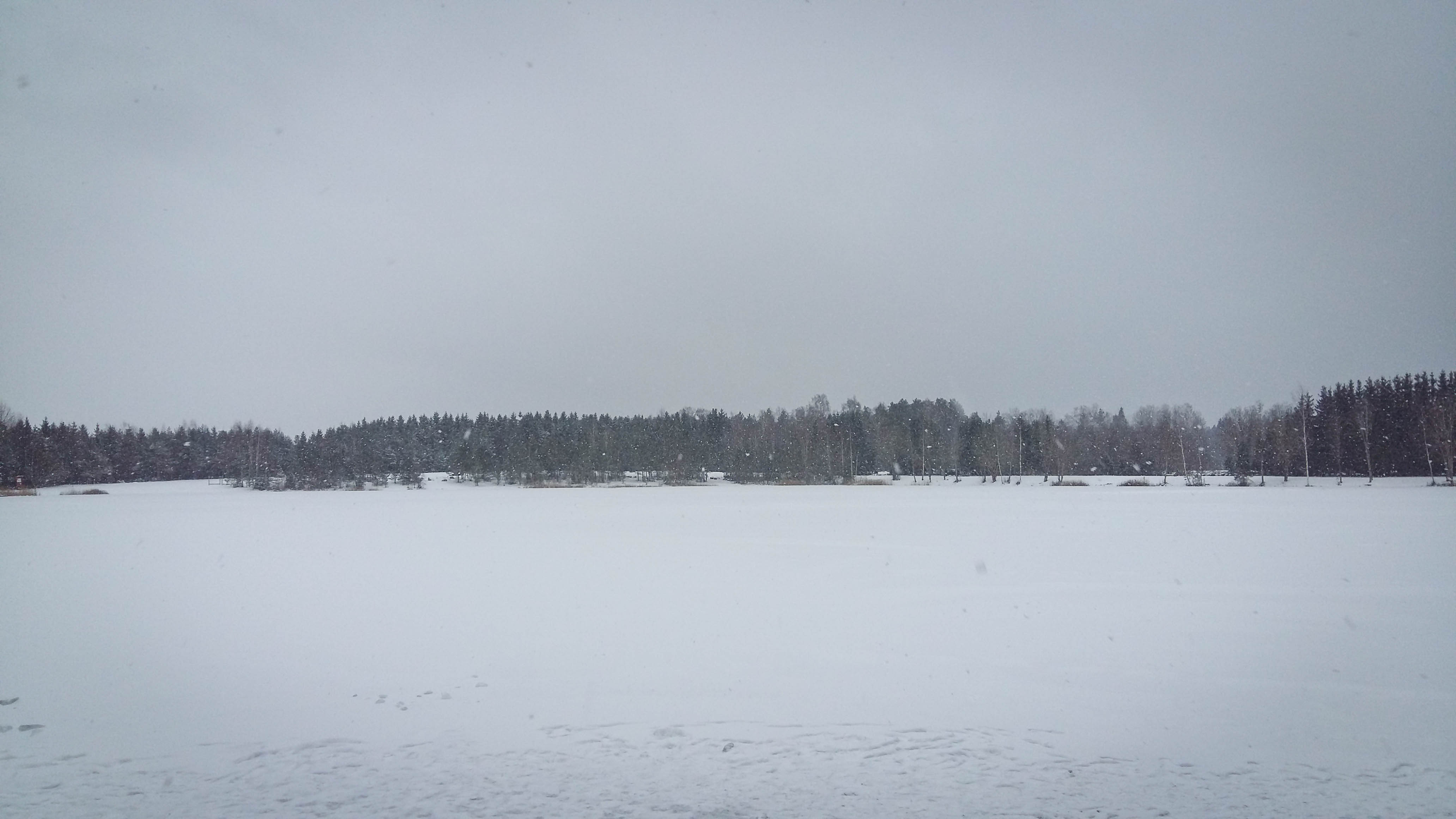 20210110_133503.jpg