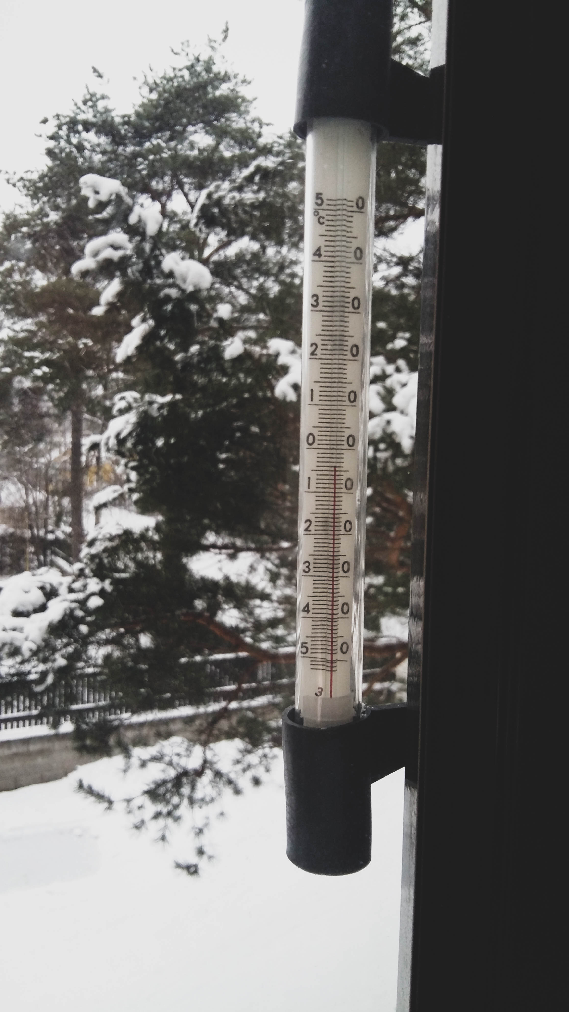 20210110_122059.jpg