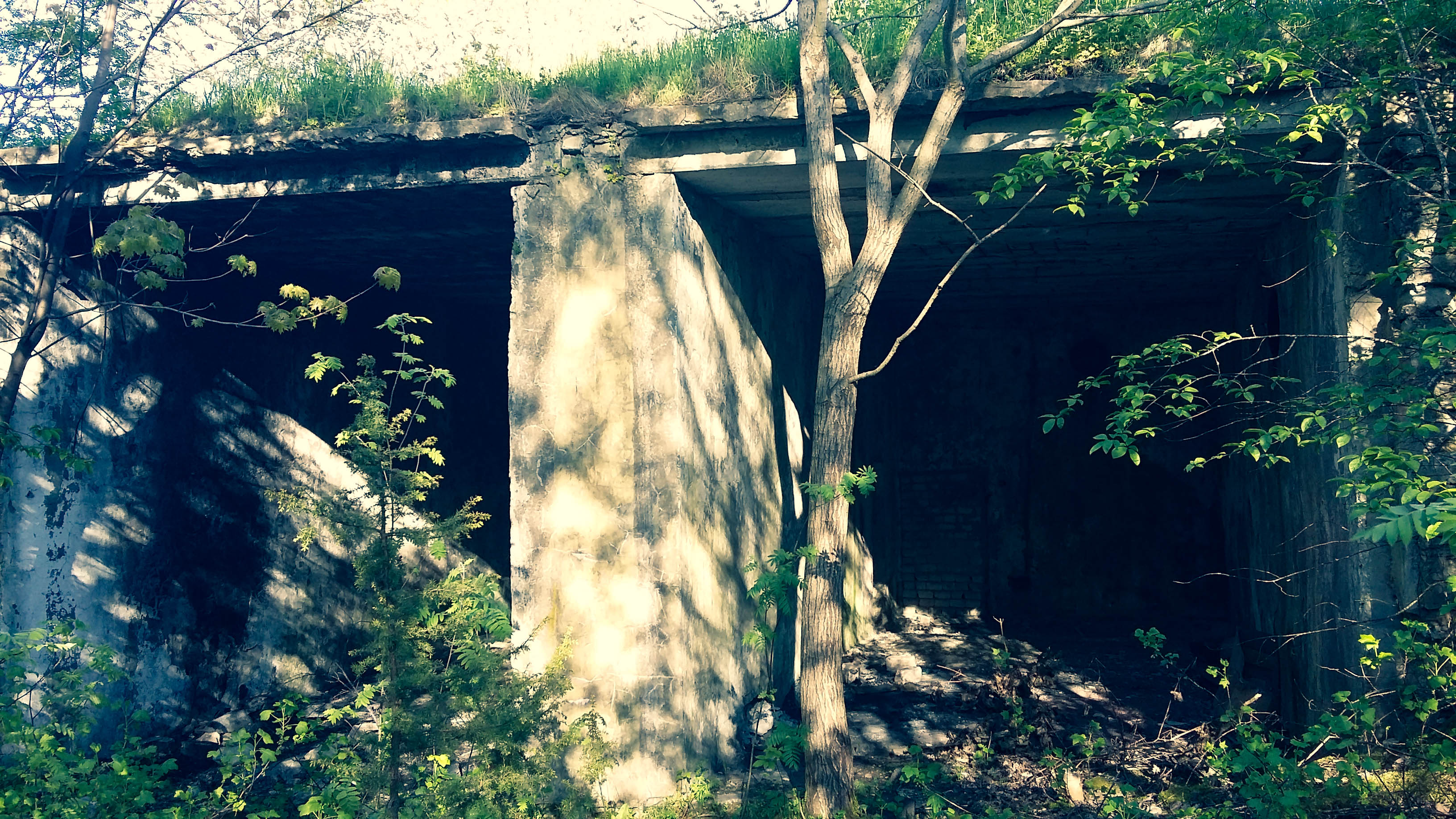 20200529_185222.jpg
