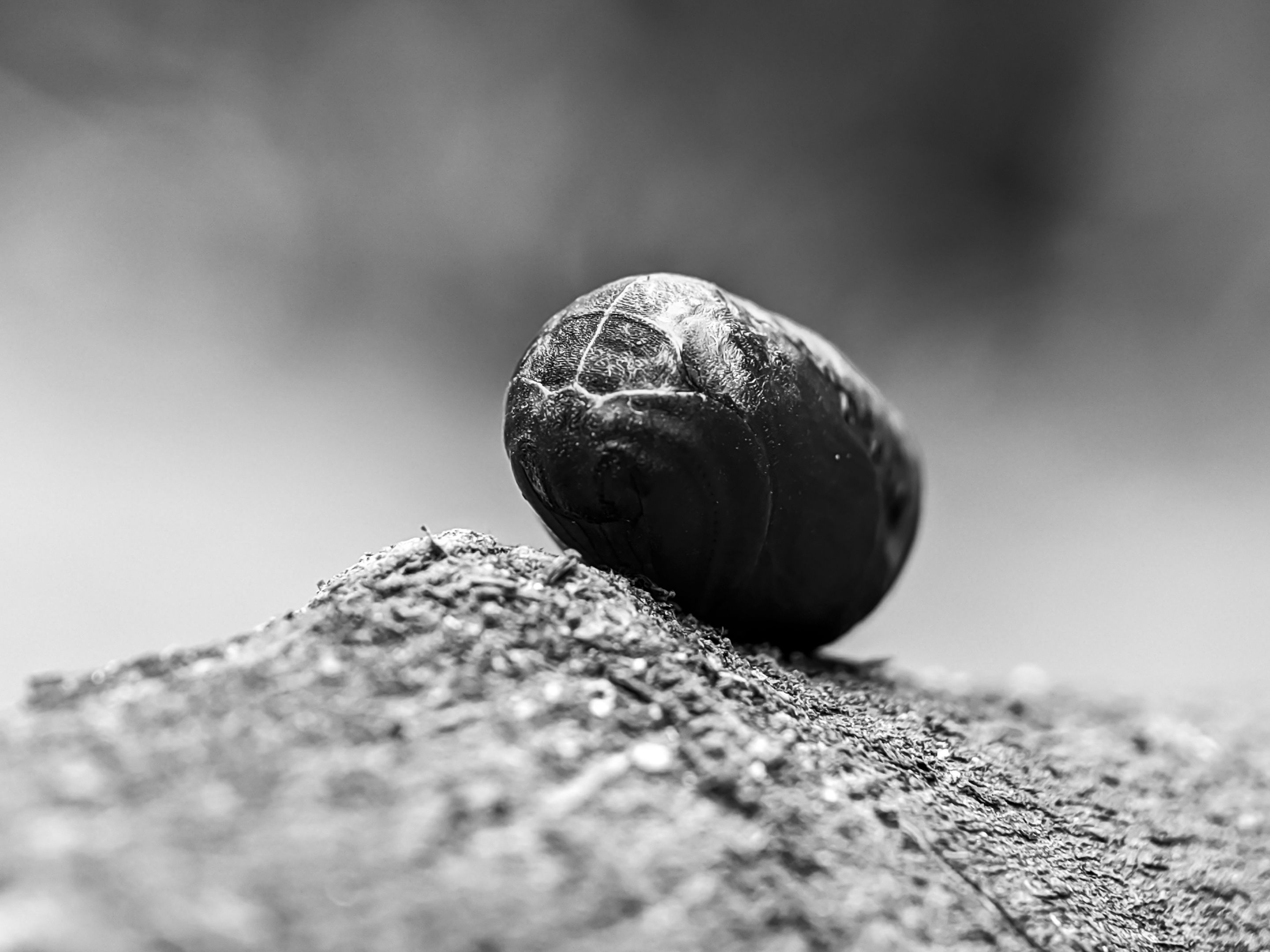 1753614187887.jpg