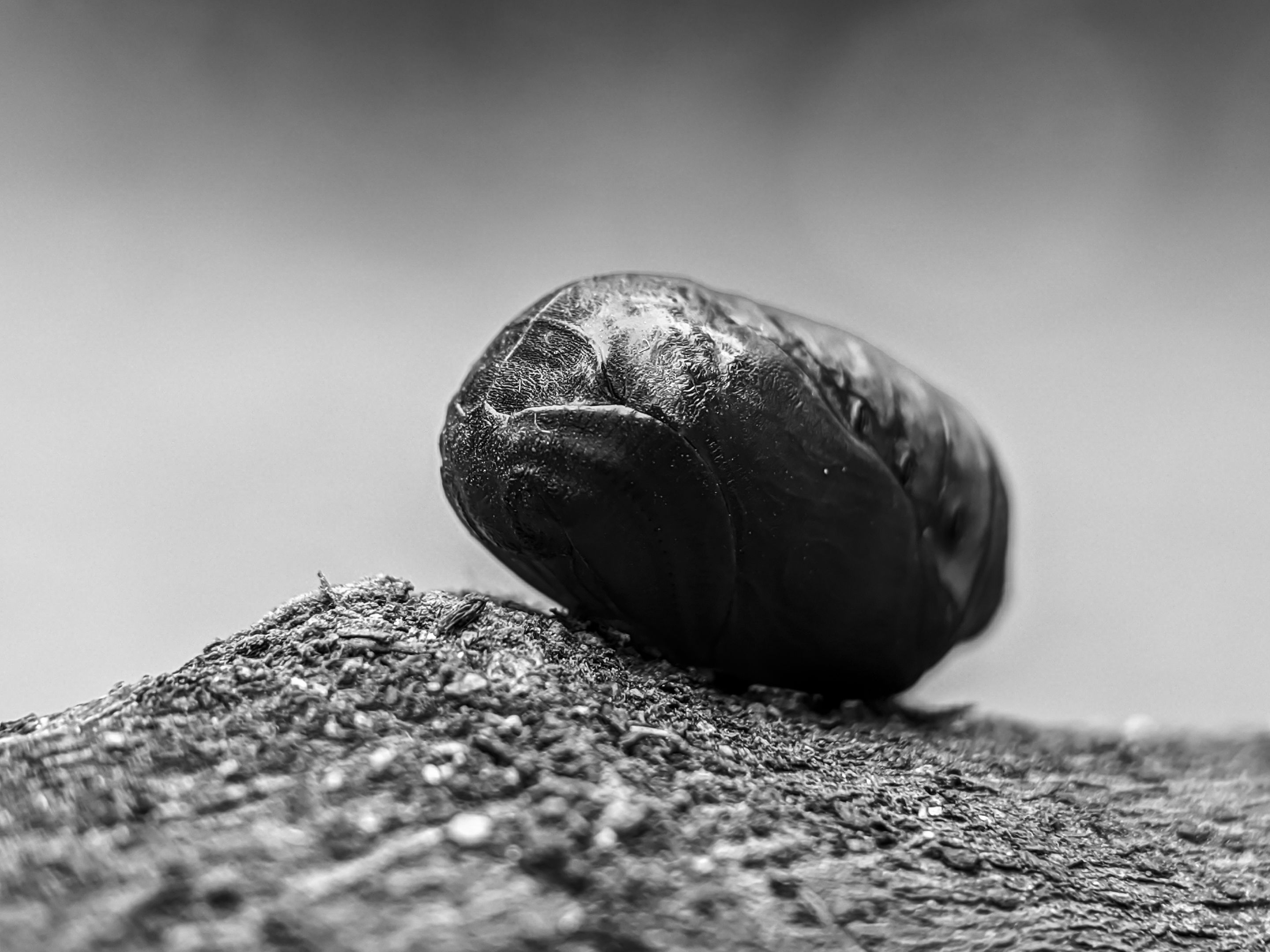 1753614187967.jpg