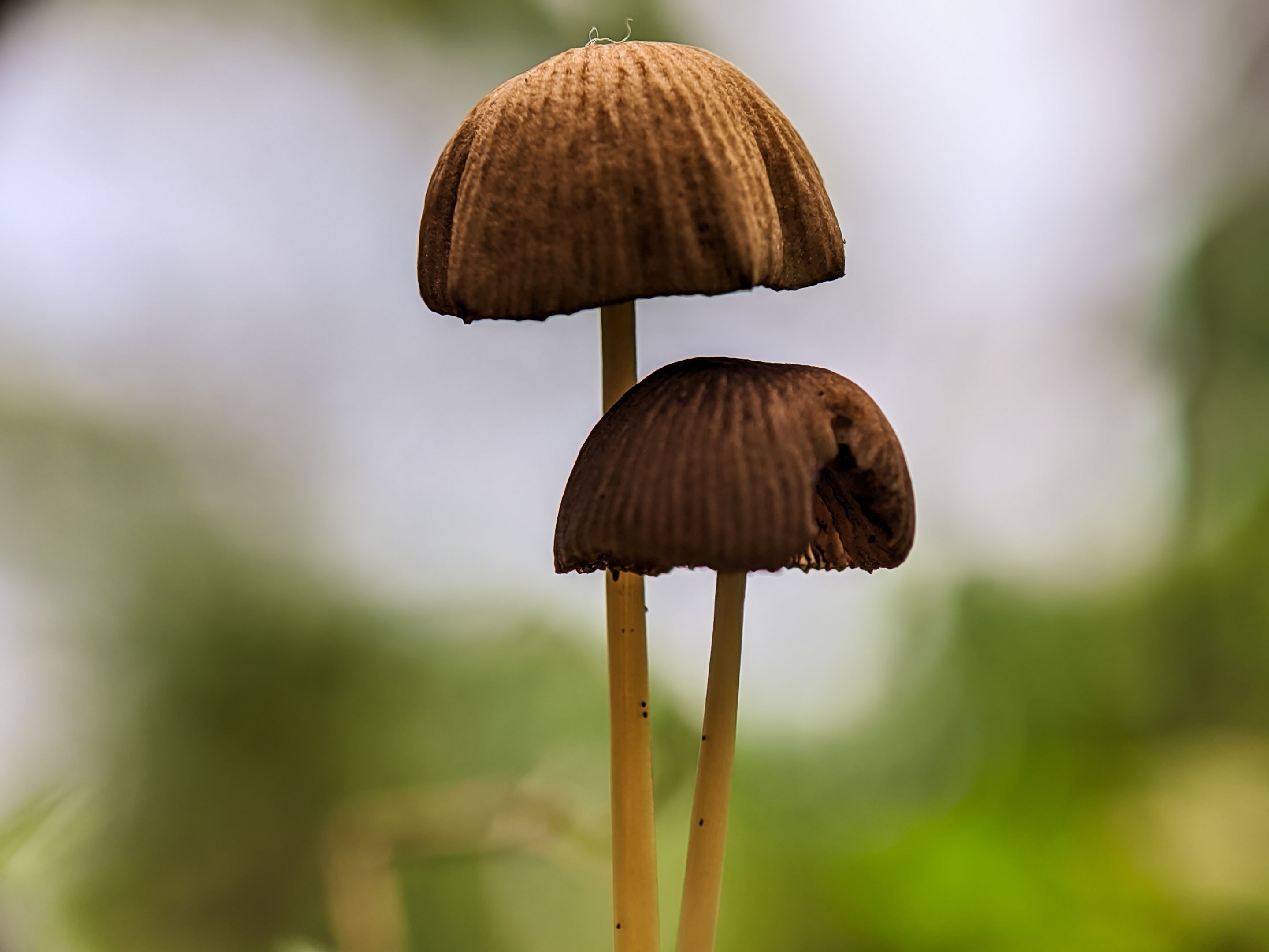 1709810992669.jpg