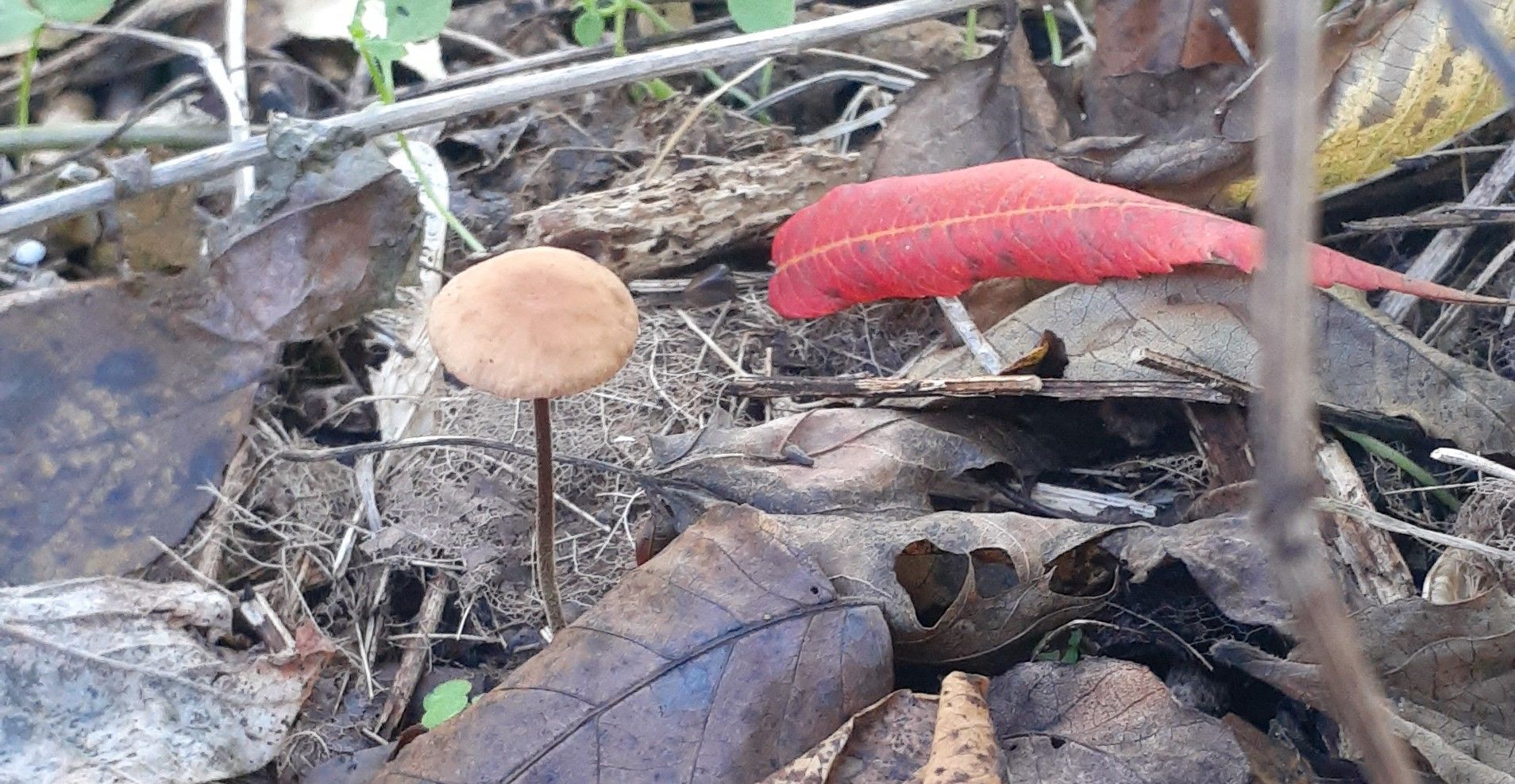 20211019_104933.jpg