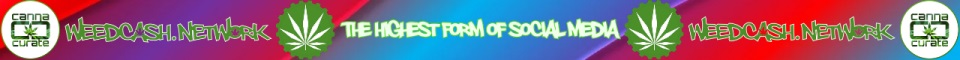 banner.jpg