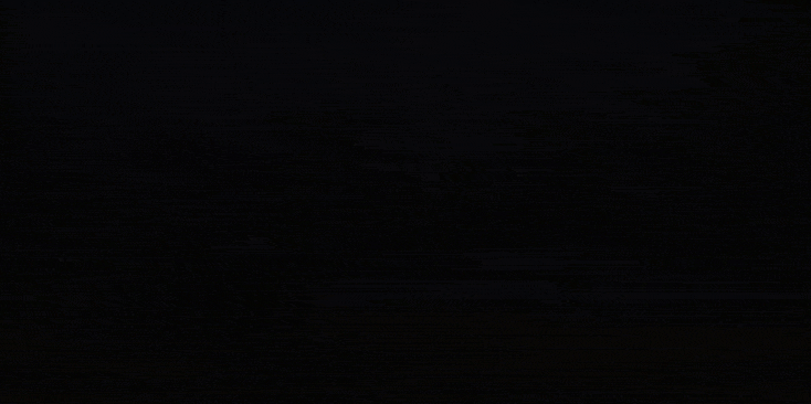 21.gif