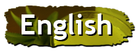 Eng.png